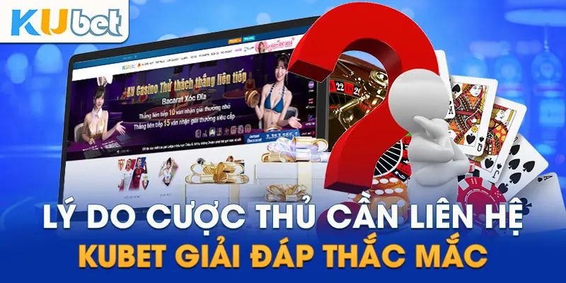 Lý do hội viên cần liên hệ Kubet